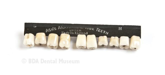 Image of artificial teeth